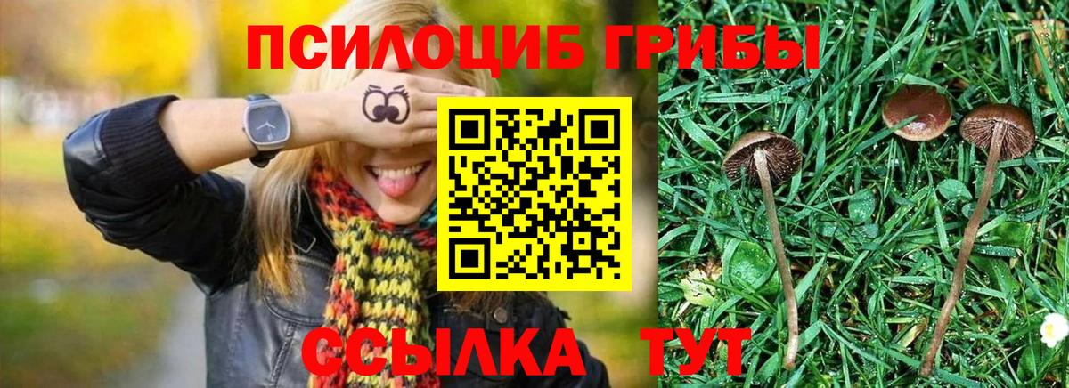 Псилоцибиновые грибы MAGIC MUSHROOMS  Вход с VPN  Абакан 